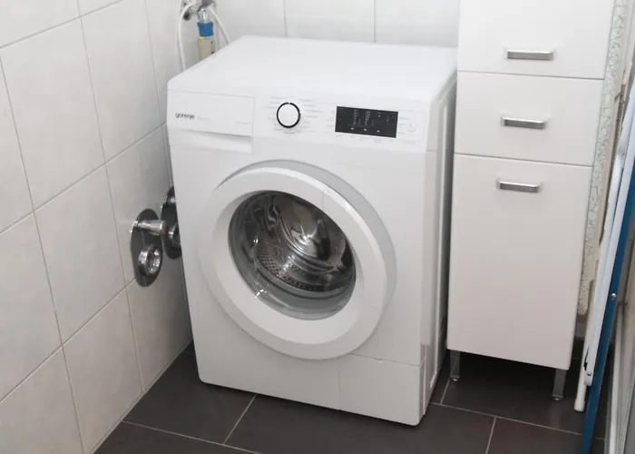 Friesenrose アパート *